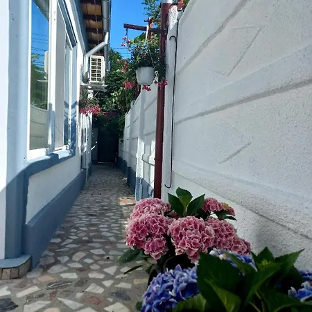 Casa Ioan -Faleza Nord